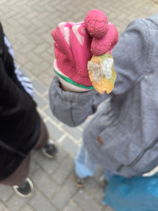 World Cleanup Day 4